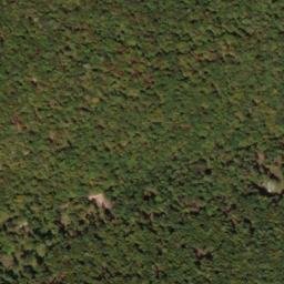 Satellite imagery of North Prong Thick Mountain, US