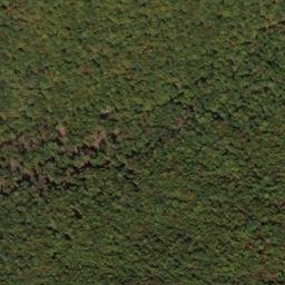 Satellite imagery of South Prong Thick Mountain, US
