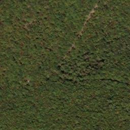 Satellite imagery of North Prong Thick Mountain, US