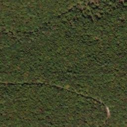 Satellite imagery of North Prong Thick Mountain, US