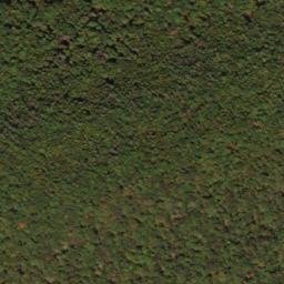 Satellite imagery of North Prong Thick Mountain, US