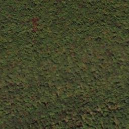 Satellite imagery of South Prong Thick Mountain, US