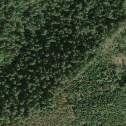 Satellite imagery of Buck Ridge, US