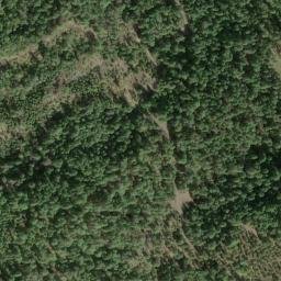 Satellite imagery of Buck Ridge, US