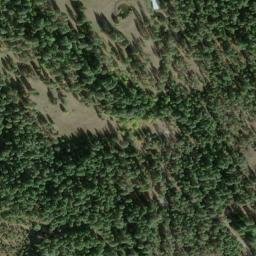 Satellite imagery of Buck Ridge, US