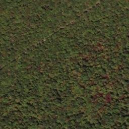 Satellite imagery of South Prong Thick Mountain, US