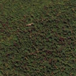 Satellite imagery of South Prong Thick Mountain, US