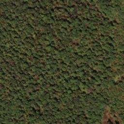 Satellite imagery of South Prong Thick Mountain, US