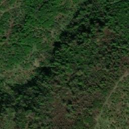 Satellite imagery of survey_point, AM