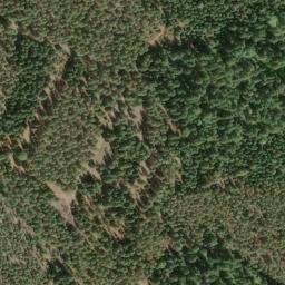 Satellite imagery of Buck Ridge, US