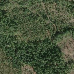 Satellite imagery of Buck Ridge, US