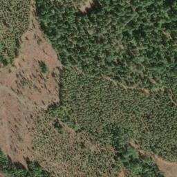 Satellite imagery of Buck Ridge, US