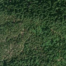 Satellite imagery of Friday Ridge, US