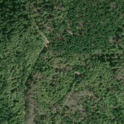 Satellite imagery of Friday Ridge, US