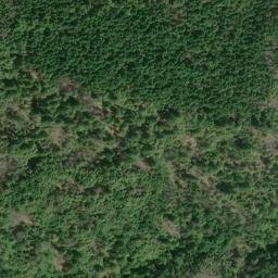 Satellite imagery of Friday Ridge, US