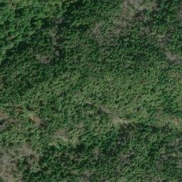 Satellite imagery of Friday Ridge, US