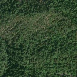 Satellite imagery of Friday Ridge, US