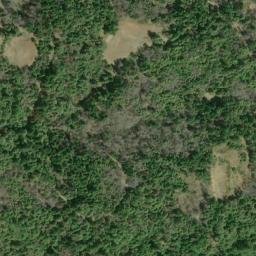 Satellite imagery of Friday Ridge, US