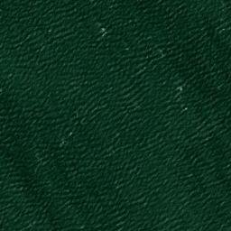 Satellite imagery of 03E 21N — NGS KU4596 — Village of Sands Point, US, US