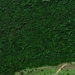 Satellite imagery of Chestnut Ridge, US
