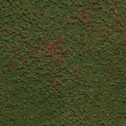 Satellite imagery of Middle Ridge, US