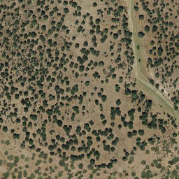 Satellite imagery of survey_point, PT