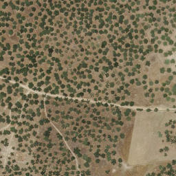 Satellite imagery of survey_point, PT