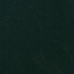 Satellite imagery of Plum Point, US
