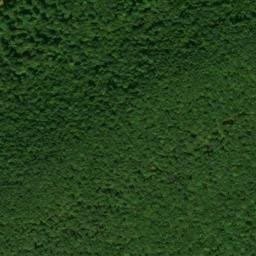 Satellite imagery of Mauch Chunk Ridge, US