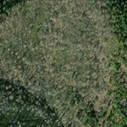 Satellite imagery of Halsey Ridge, US