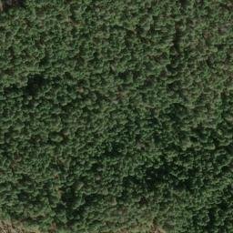 Satellite imagery of Montgomery Ridge, US