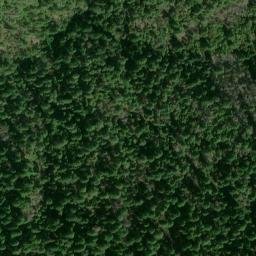 Satellite imagery of Ammon Ridge, US