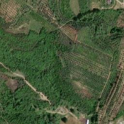 Satellite imagery of Kodër Bukur, AL