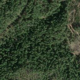 Satellite imagery of Woodrat Mine, US
