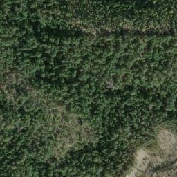 Satellite imagery of Woodrat Mine, US