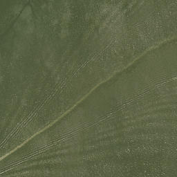 Satellite imagery of Lawrence Point, US