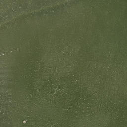 Satellite imagery of Lawrence Point, US