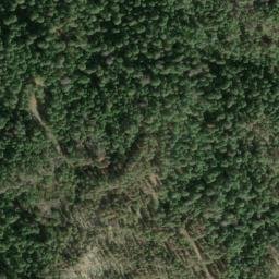 Satellite imagery of Woodrat Mine, US