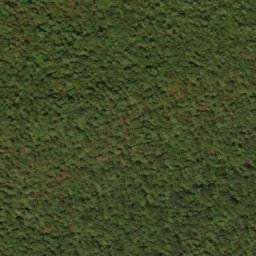 Satellite imagery of Locust Ridge, US