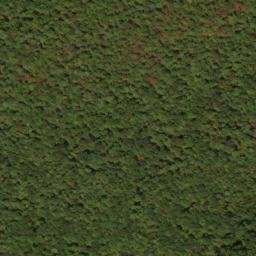 Satellite imagery of Locust Ridge, US