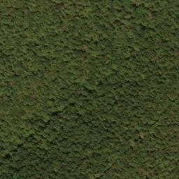 Satellite imagery of Locust Ridge, US