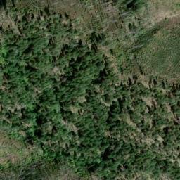 Satellite imagery of Sutro Mine, US