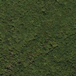 Satellite imagery of Locust Ridge, US
