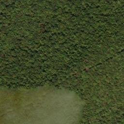 Satellite imagery of Locust Ridge, US
