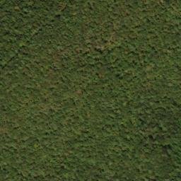 Satellite imagery of Locust Ridge, US