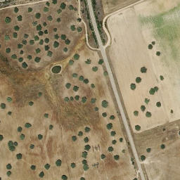 Satellite imagery of survey_point, PT