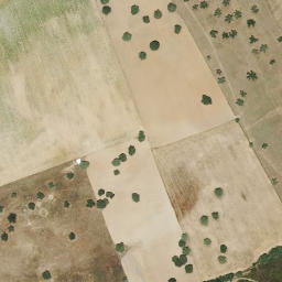 Satellite imagery of survey_point, PT