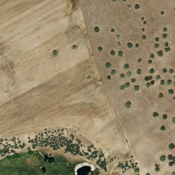 Satellite imagery of survey_point, PT
