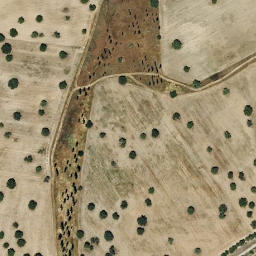 Satellite imagery of survey_point, PT