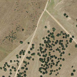 Satellite imagery of survey_point, PT
